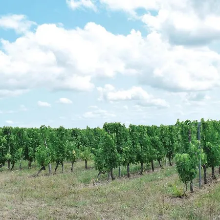 Gorgeous In Massugas