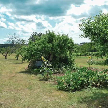 Casa de Férias Gorgeous In Massugas