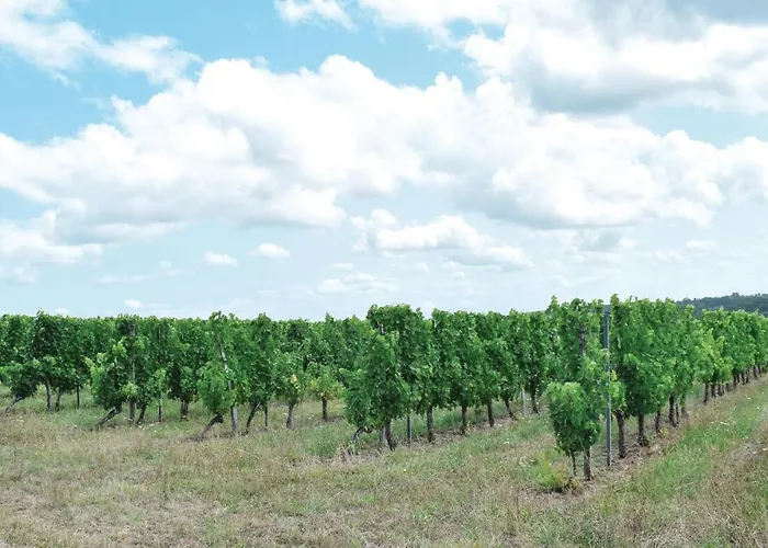 Gorgeous In Massugas